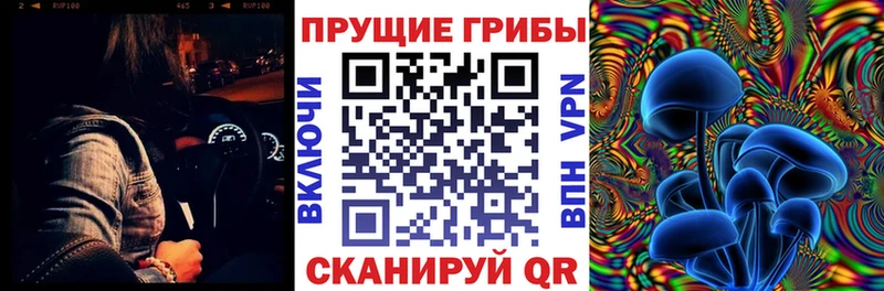 Купить закладки  Уварово  Галлюциногенные грибы Magic Shrooms 